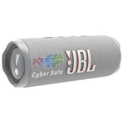 JBL FLIP 6 Wireless Speaker advertising with full-color print