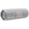 JBL FLIP 6 Wireless Speaker advertising with full-color print
