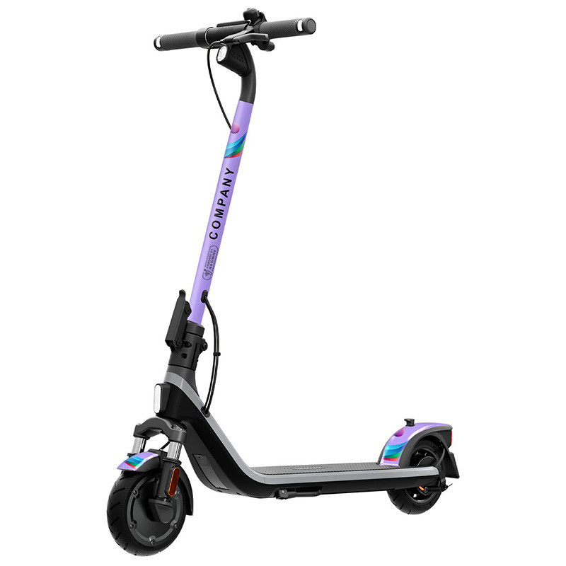 SEGWAY NINEBOT KICKSCOOTER E2 D II Electric Scooter with logo