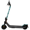 SEGWAY NINEBOT KICKSCOOTER E2 E II Electric Scooter with print