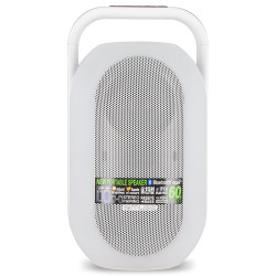 MUSE ML-625 60W Wireless Speaker 4400mAh Power Bank with epoxy sticker