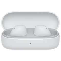 SONY WF-C510 Wireless Earbuds with logo print