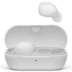 SONY WF-C710N Wireless Earbuds with full color print