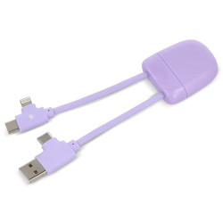 XOOPAR ICE-B Adapter Cable for USB-C Lightning charging with your logo