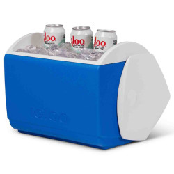IGLOO PLAYMATE ELITE 15L Cooler 16qt with full-color printing