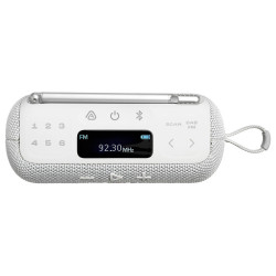 Głośnik Bezprzewodowy Radioodbiornik JBL TUNER 3 z Twoim logo w pełnym kolorze